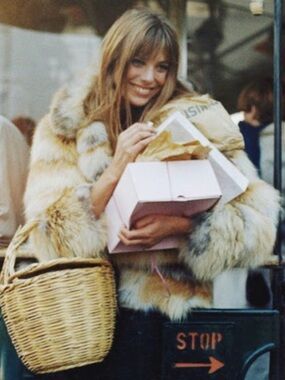 Birkin Basket Bag